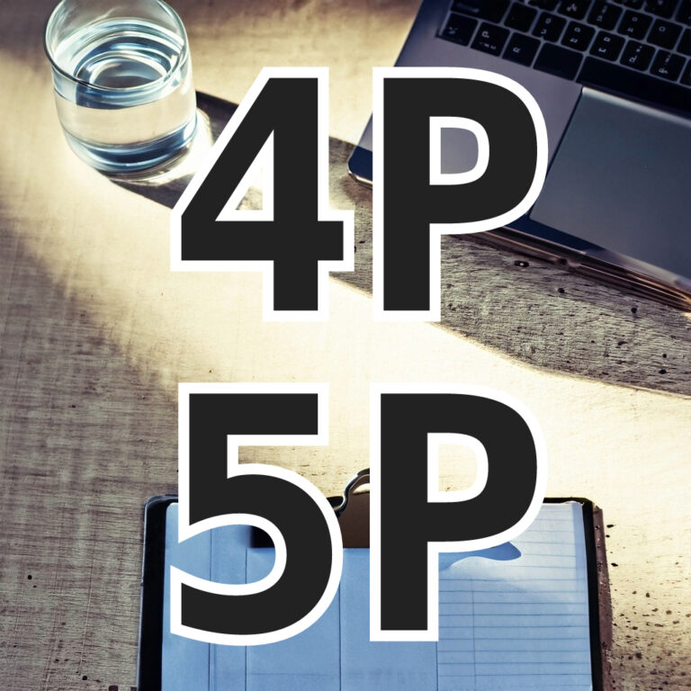 What are the 4 Ps in therapy Formulation? 