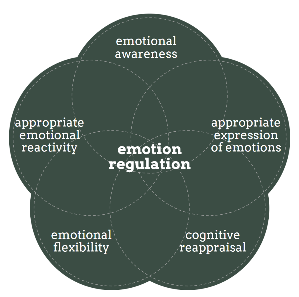 Emotional Dysregulation Therapy