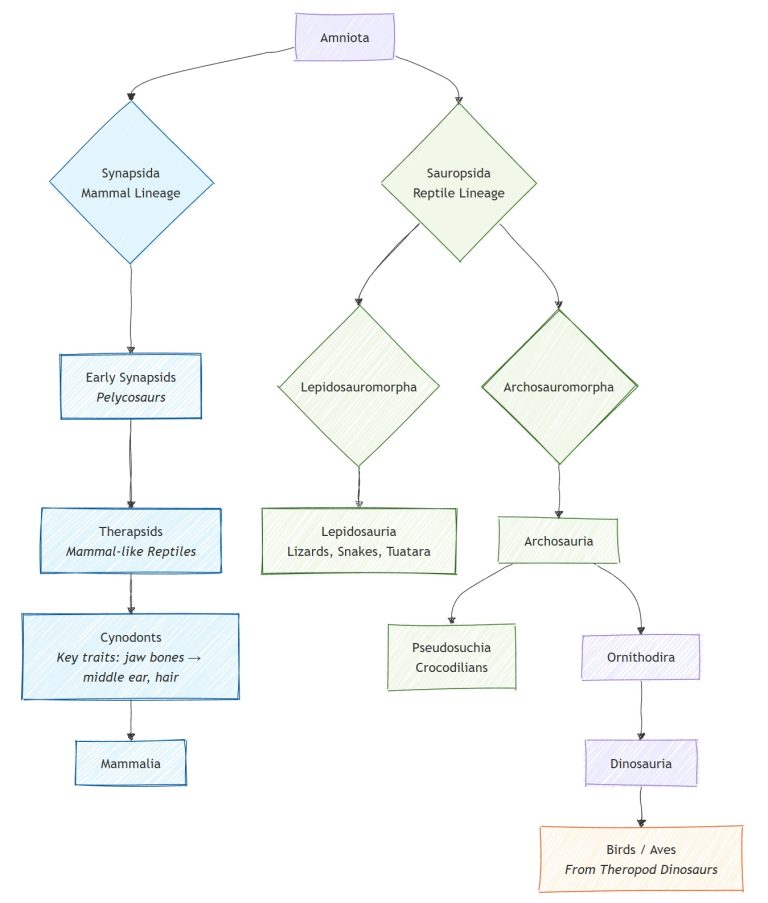 reptilian brain myth