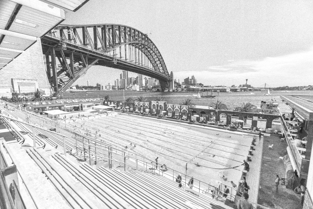 north sydney psychologist